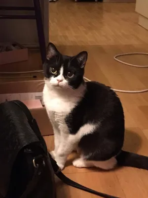 Zoe